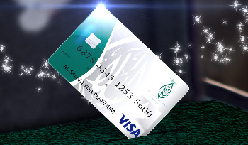 Al Salam visa Platinuim